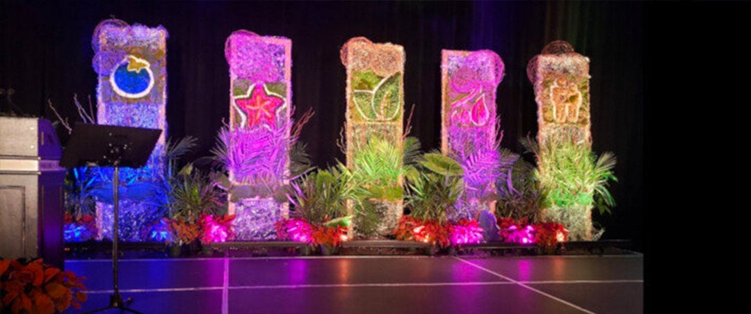 photo de la scène au gala des fleurons 2019