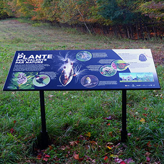 Product - Speed Display Sign- Kalitec